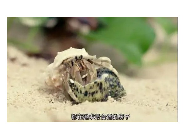 會(huì)移動(dòng)的戶外廣告來(lái)了，根本不夠看！